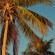 SOL DE JANEIRO Brazilian Crush Cheirosa 39 Coco Cabana™ Perfume Mist