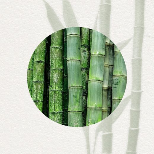 Annayake Bamboo Soin Perfecteur Énergisant