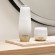 SENSAI Absolute Silk Cream