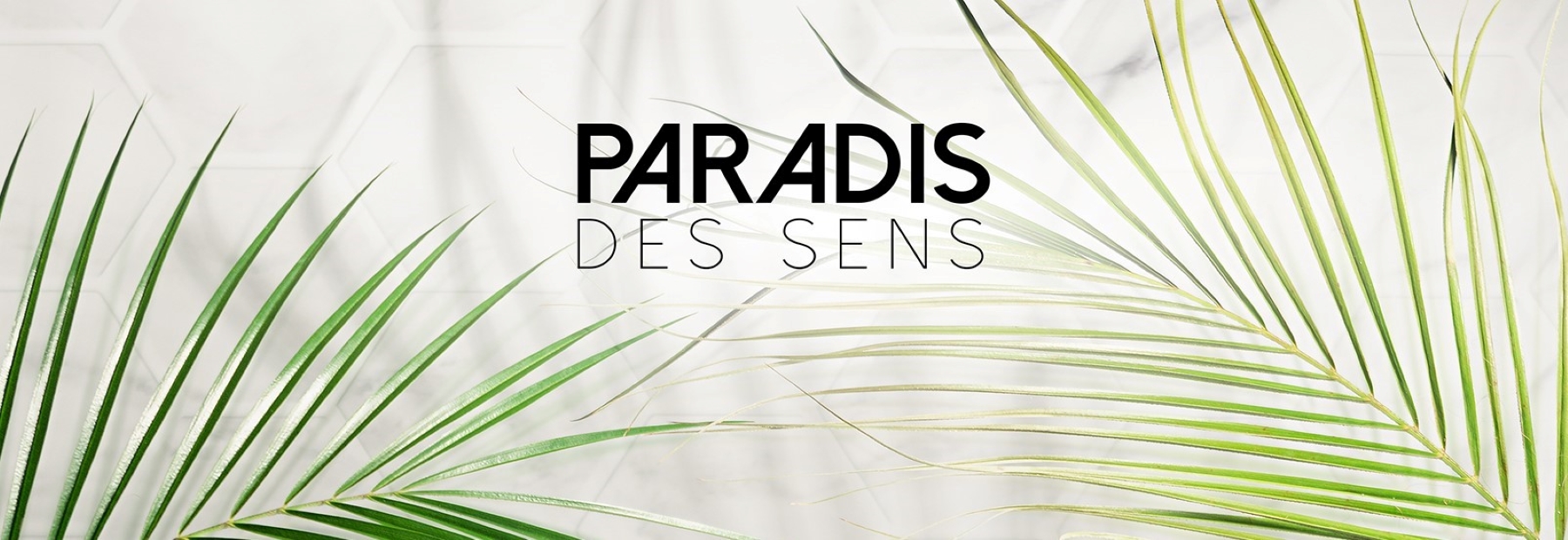 PARADIS DES SENS