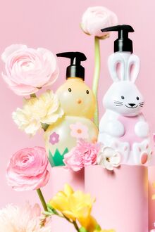 Spring collection Hand soups